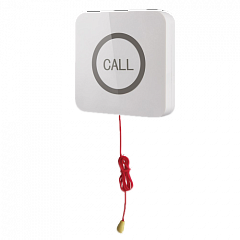 Кнопка вызова iBells 310S влагозащищенная со шнуром для МГН в Смоленске